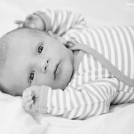roach(babymax) blog12